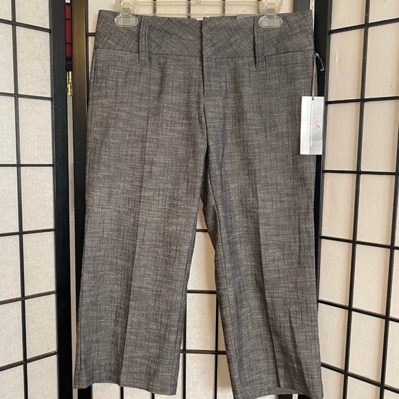 NWT Style that Works by Vanity Gray Shorts Capris Cropped Pants Size 3 - Picture 1 of 6